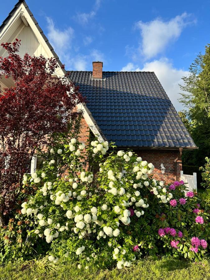 Louf Apartman Wiesmoor Kültér fotó